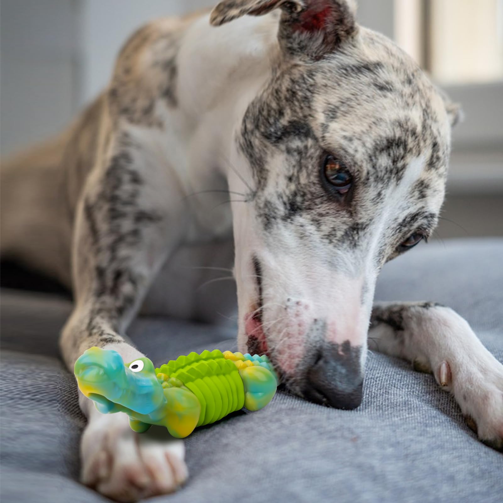Durable Dog Chew Toys for Aggressive Chewers - Bacon Flavor for Large Breeds