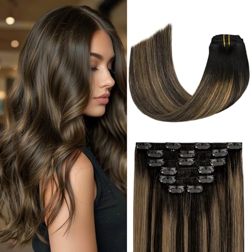 Natural Black to Chestnut Brown