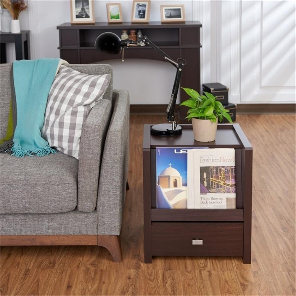 Furniture of America Ricardo Modern Wood End Table with Open Shelf - Walnut Finish, Perfect for Living Room, Bedroom, or Office Side Table