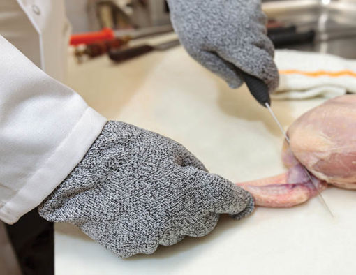 Whizard Antimicrobial Cut Resistant A6 Glove (1 Pair) - Premium Safety Gloves for Food Handling, Kitchen Work & Industrial Use