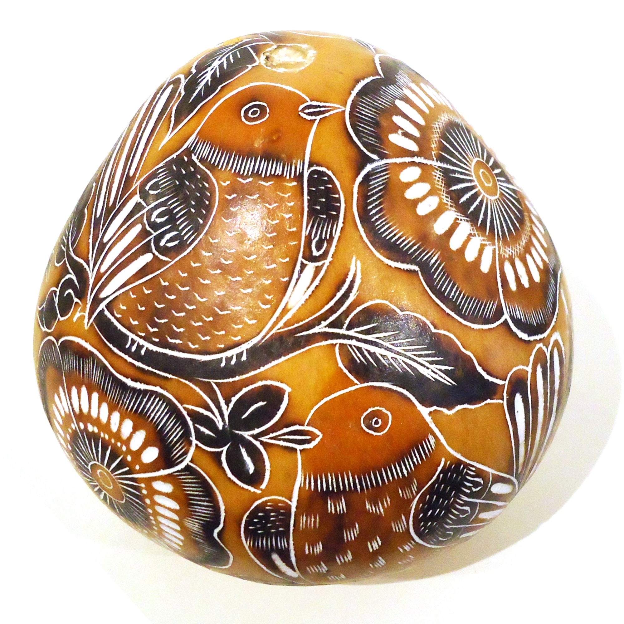Handmade Gourd Piggy Bank with Bird Design - Unique Money Saving Bank for Kids & Adults - Perfect for Home Decor, Gift Giving, and Financial Education