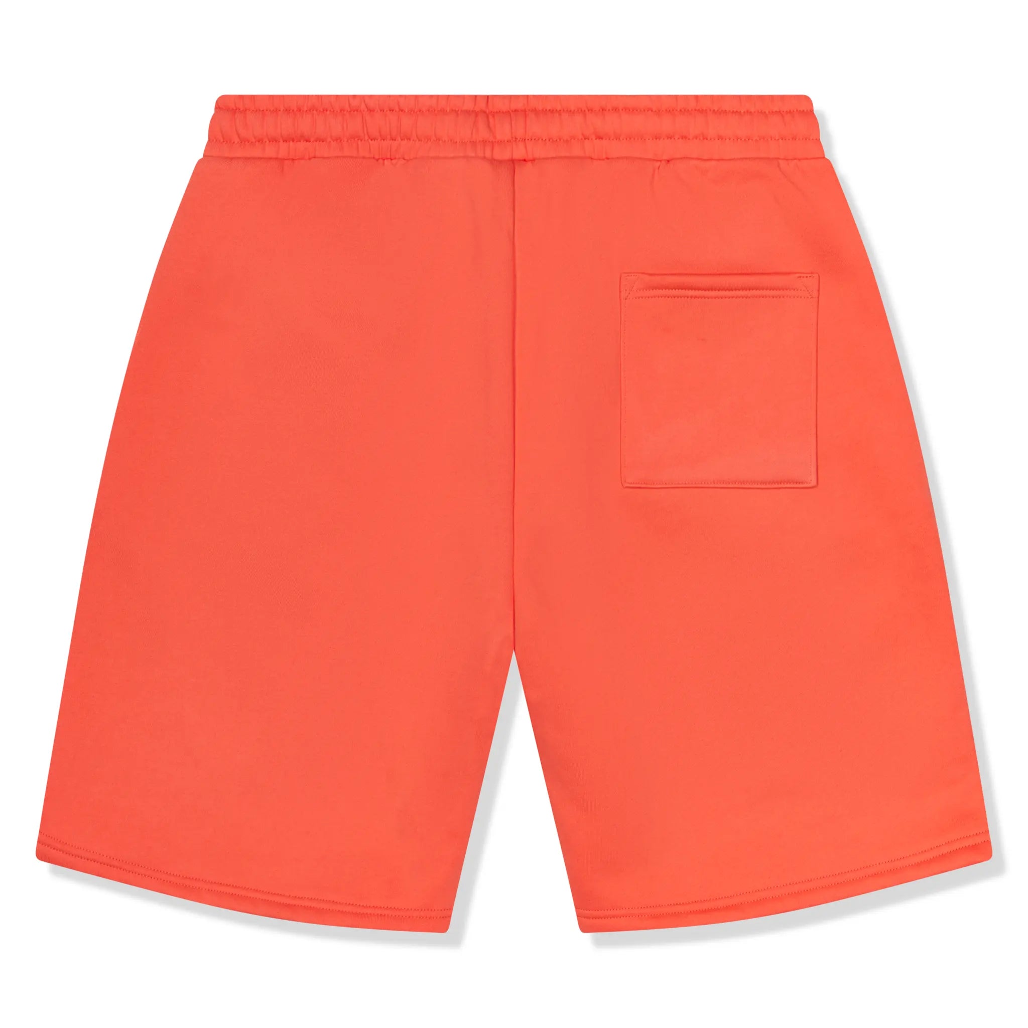 Premium Carsicko LL Ruby Shorts for Women - High Waisted Comfortable Stretchy Workout Running Yoga Shorts - Perfect for Gym, Lounge & Summer Activities
