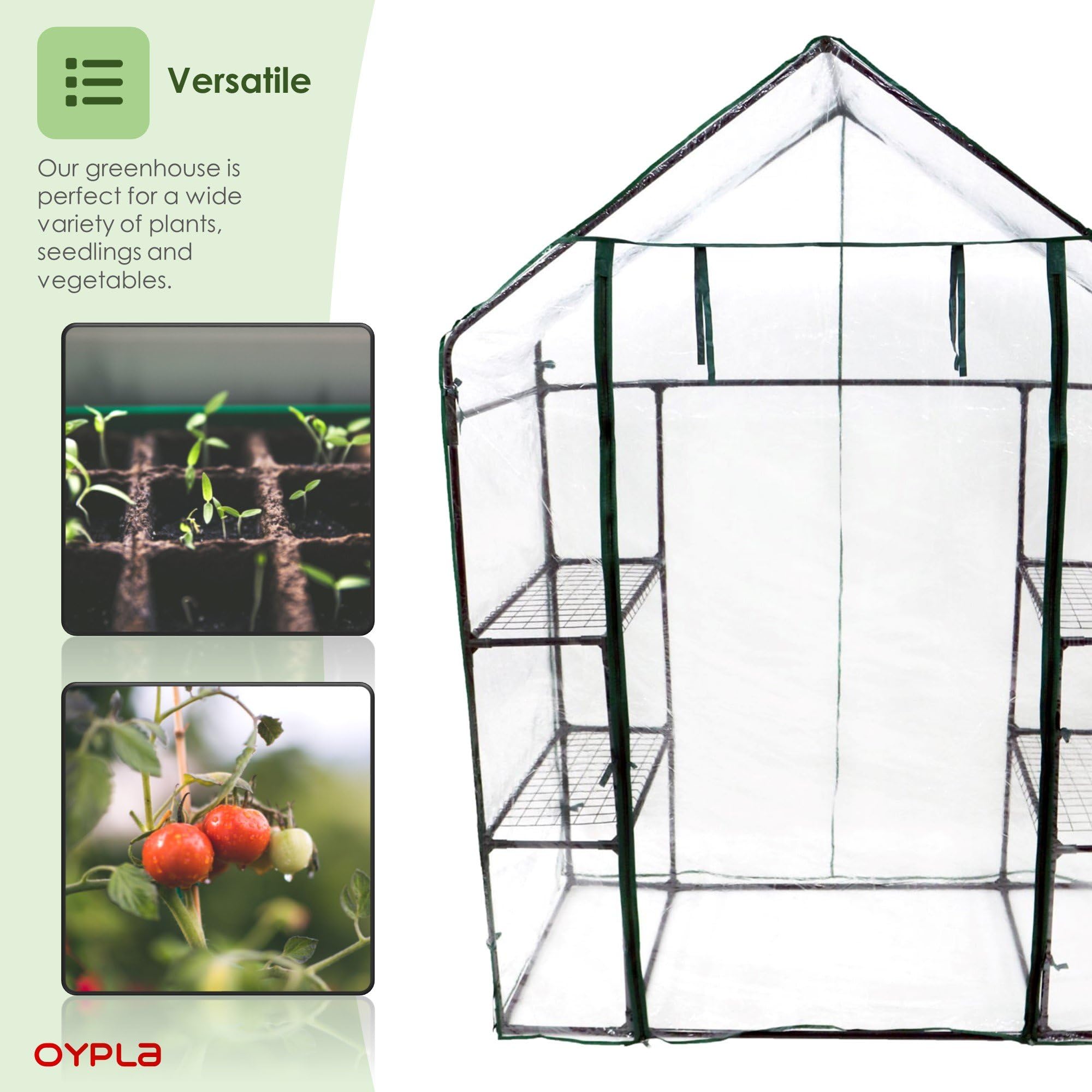 Outdoor Walkthrough Greenhouse with 4 Plant Shelves - Perfect for Gardening, Seed Starting & Plant Protection - Ideal for Backyards, Patios & Small Farms