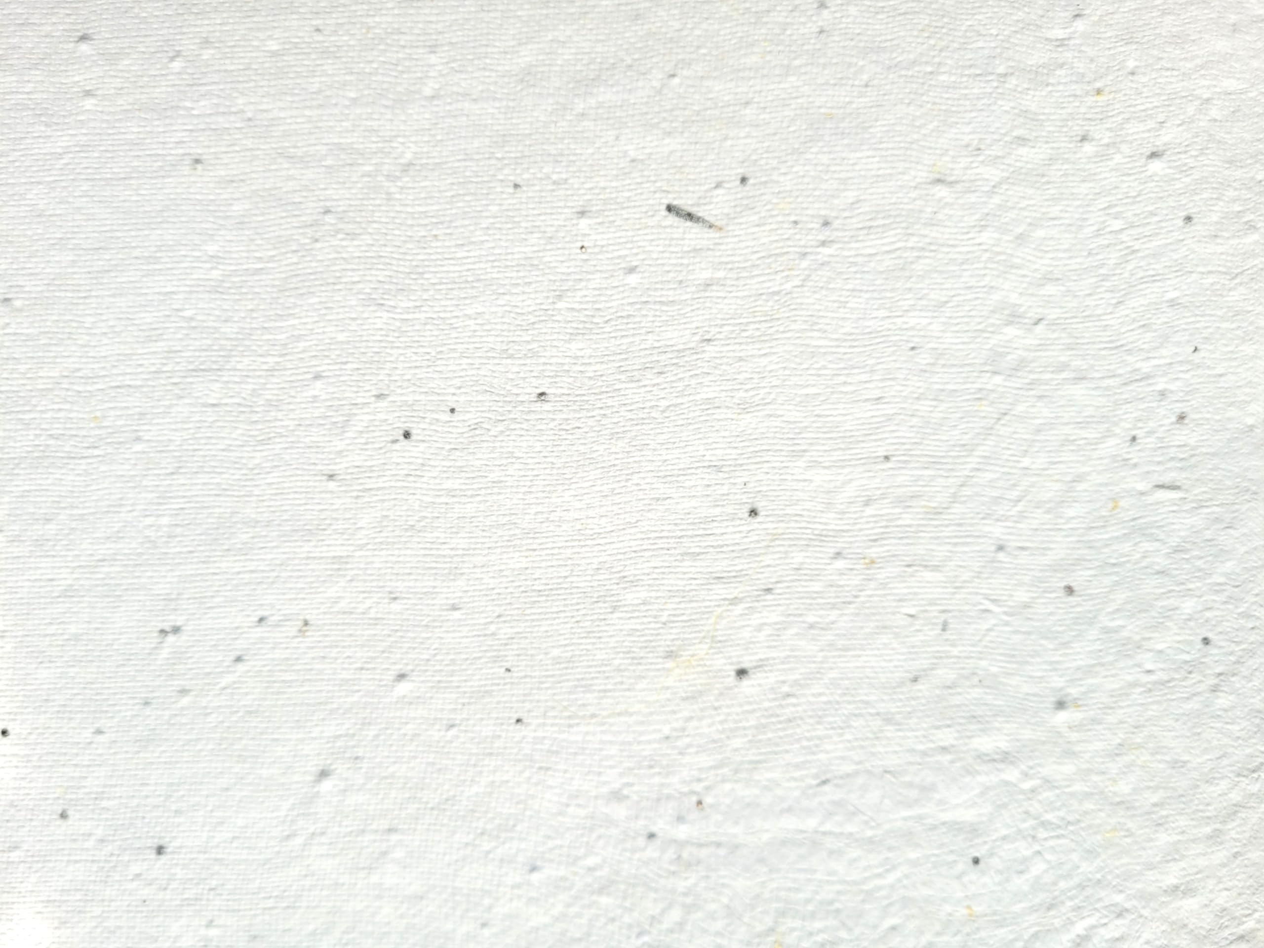 Printable A4 Seed Paper - Eco-Friendly White Wildflower Seeded Mulberry Cardstock 200 GSM (100 Sheets) | DIY Journals, Wedding Favors, Greeting Cards & Sustainable Crafting | Plantable Paper for Eco-Conscious Gifting & Home Decor