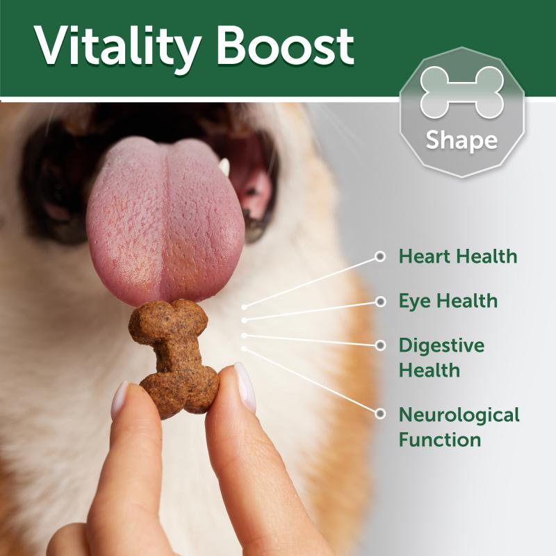 Premium Dog Treat Bundle for Red Coat - Healthy & Delicious Training Snacks for Small & Medium Dogs - Perfect for Rewards, Training & Playtime