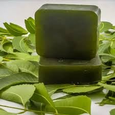 Organic Neem Tulsi Soap for Men & Women - Natural Antibacterial Face & Body Soap with Skin Brightening & Anti-Aging Benefits | Summer Cooling, Deep Cleansing & Skin Rejuvenation | 100g (Pack of 2) | Perfect for Daily Skincare Routine & Acne-Prone Skin