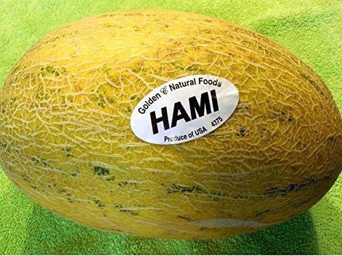 35 PCS Super Sweet Hami Melon Seeds E60 - Premium Honey Melon Variety for Home Garden Planting, Fresh Fruit Snacking & Healthy Eating