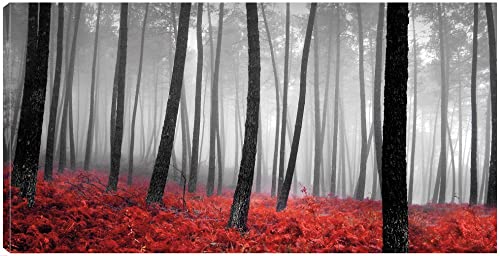 Autumn Woods