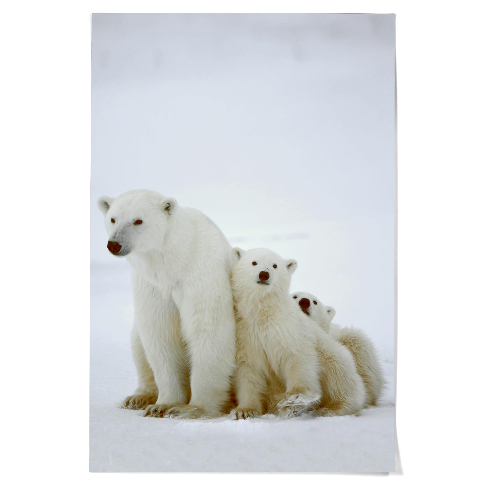 Lantern Press 36x54 Inch Giclee Art Print - Polar Bear and Cubs Wall Decor - Premium Canvas Painting for Living Room, Bedroom & Office