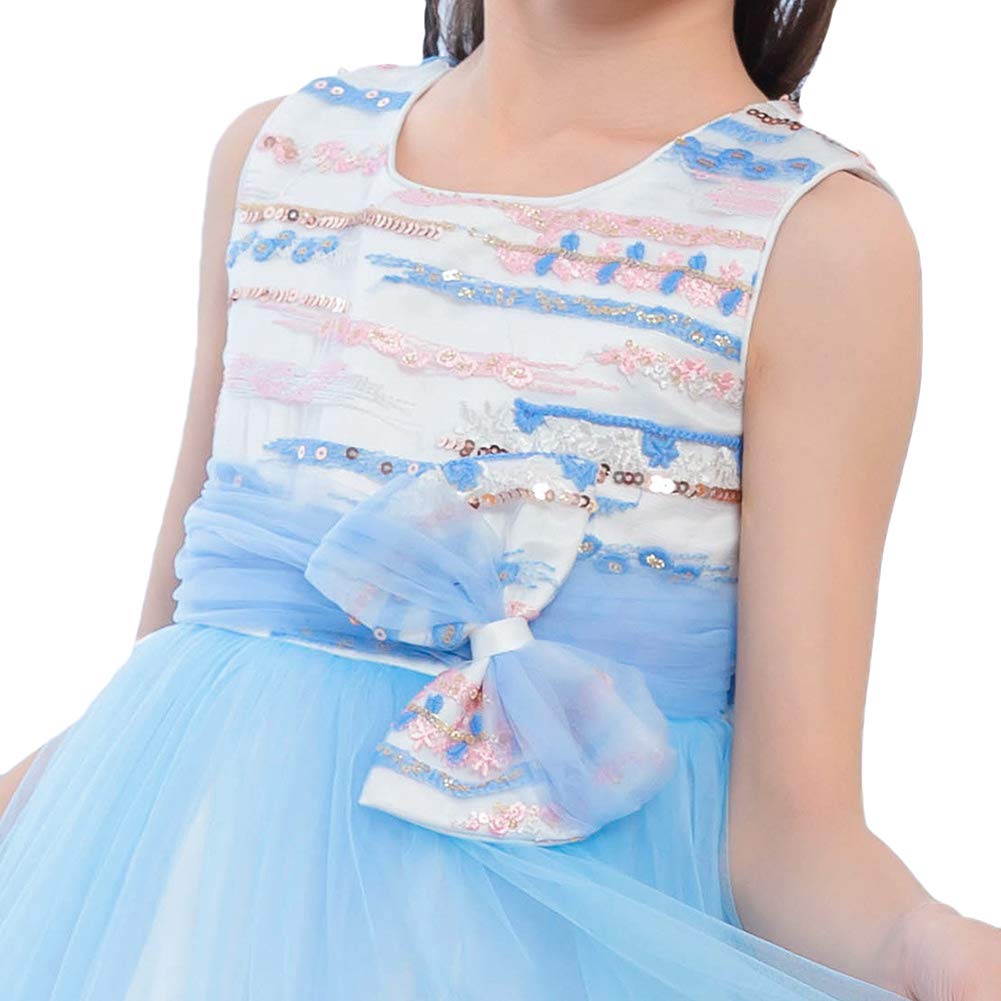 **Elegant Puffy Princess Dress for Girls - Net Yarn Skirt with Floral Design, Perfect for Birthday Parties, Catwalk Shows & Special Occasions**
