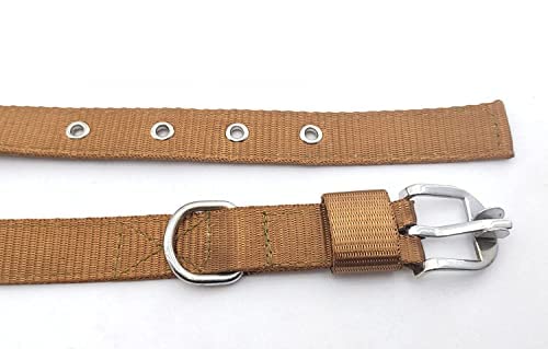 SR VISION Adjustable Nylon Dog Collar - 1 Inch Wide Durable Pet Neck Belt with Metal Buckle (Golden Color) for Small Medium Large Dogs - Perfect for Daily Walks, Training & Outdoor Adventures