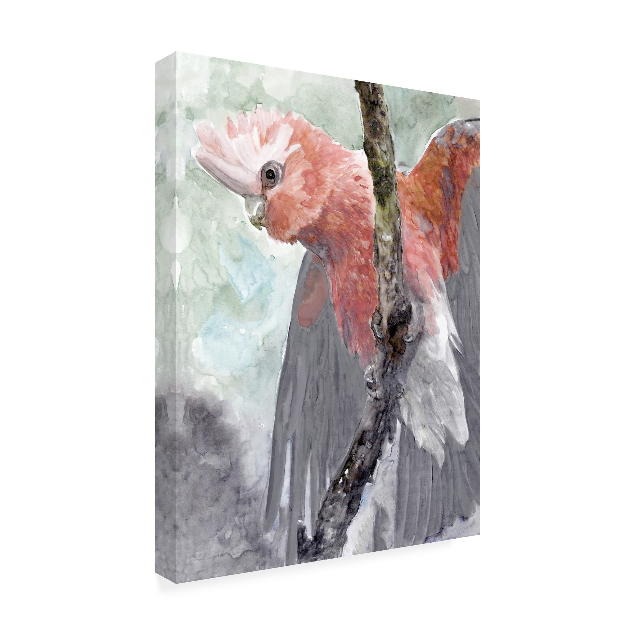 Trademark Fine Art 'Tropic Parrot II' Canvas Wall Art Print by Stellar Design Studio - Vibrant Tropical Bird Painting for Living Room, Bedroom & Office Decor