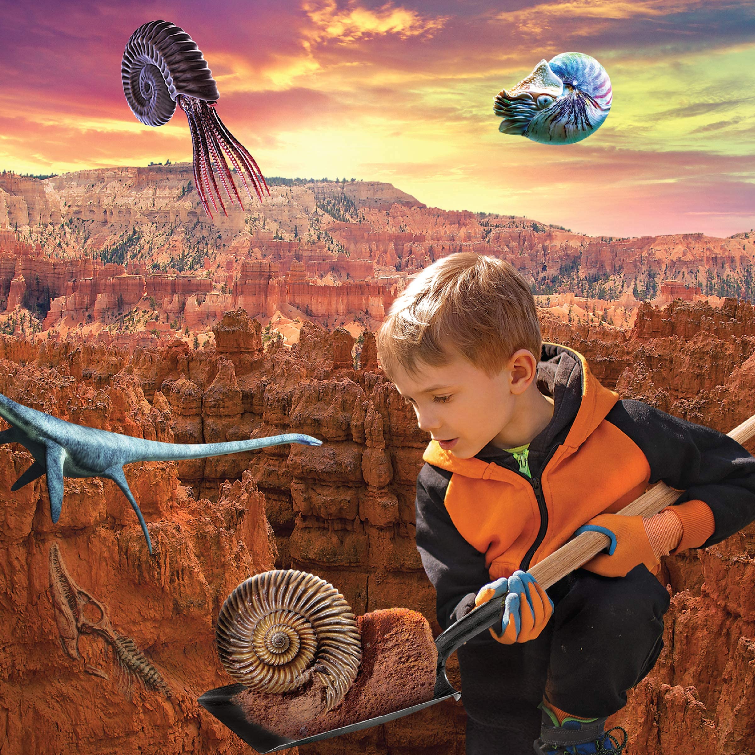 Discovery #MINDBLOWN Colossal Fossil Dig Kit - 15-Piece Archaeology Excavation Set with Real Shark Teeth & Unique Fossils - STEM Educational Toys for Kids - Perfect for Science Projects & Birthday Gifts