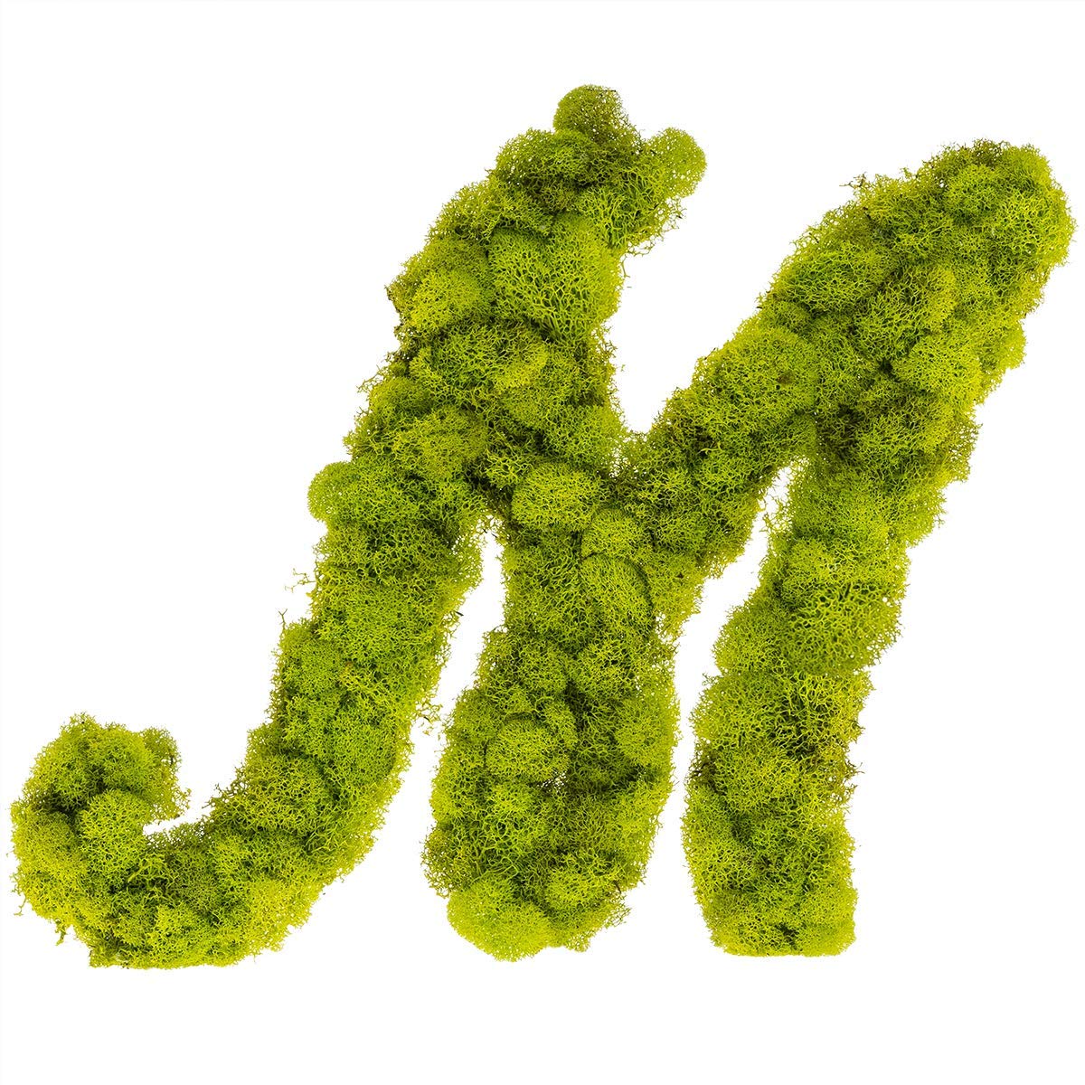 Custom Preserved Moss Monogram Initial Wall Art - Personalized Home Decor for Living Room, Bedroom & Office | Eco-Friendly Greenery Letter Design
