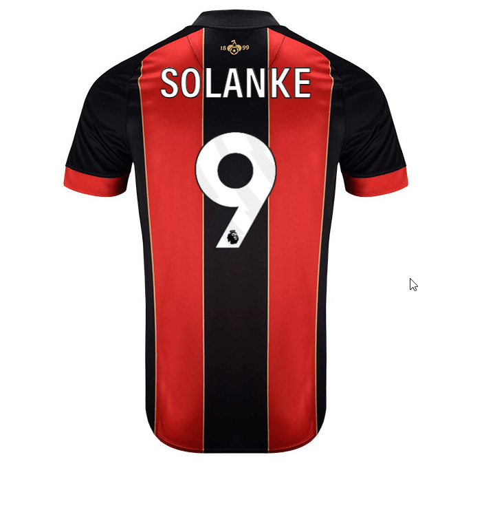 Bournemouth FC 2024/25 Home Jersey - Custom Name & Number Printing - Official Football Shirt for Fans & Players - Perfect for Matchdays & Gifting