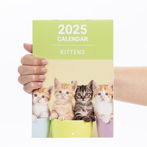 Kittens