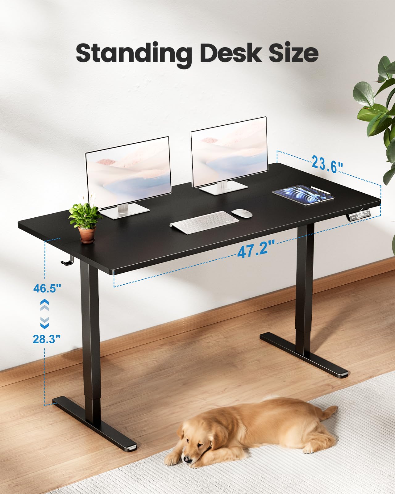 Electric Height Adjustable Standing Desk 48