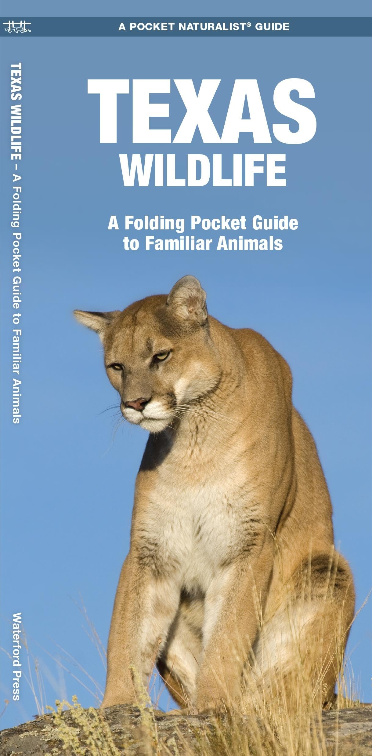 Texas Wildlife Guide: Folding Pocket Field Guide to Common Animals in North America - Perfect for Hiking, Camping & Nature Observation