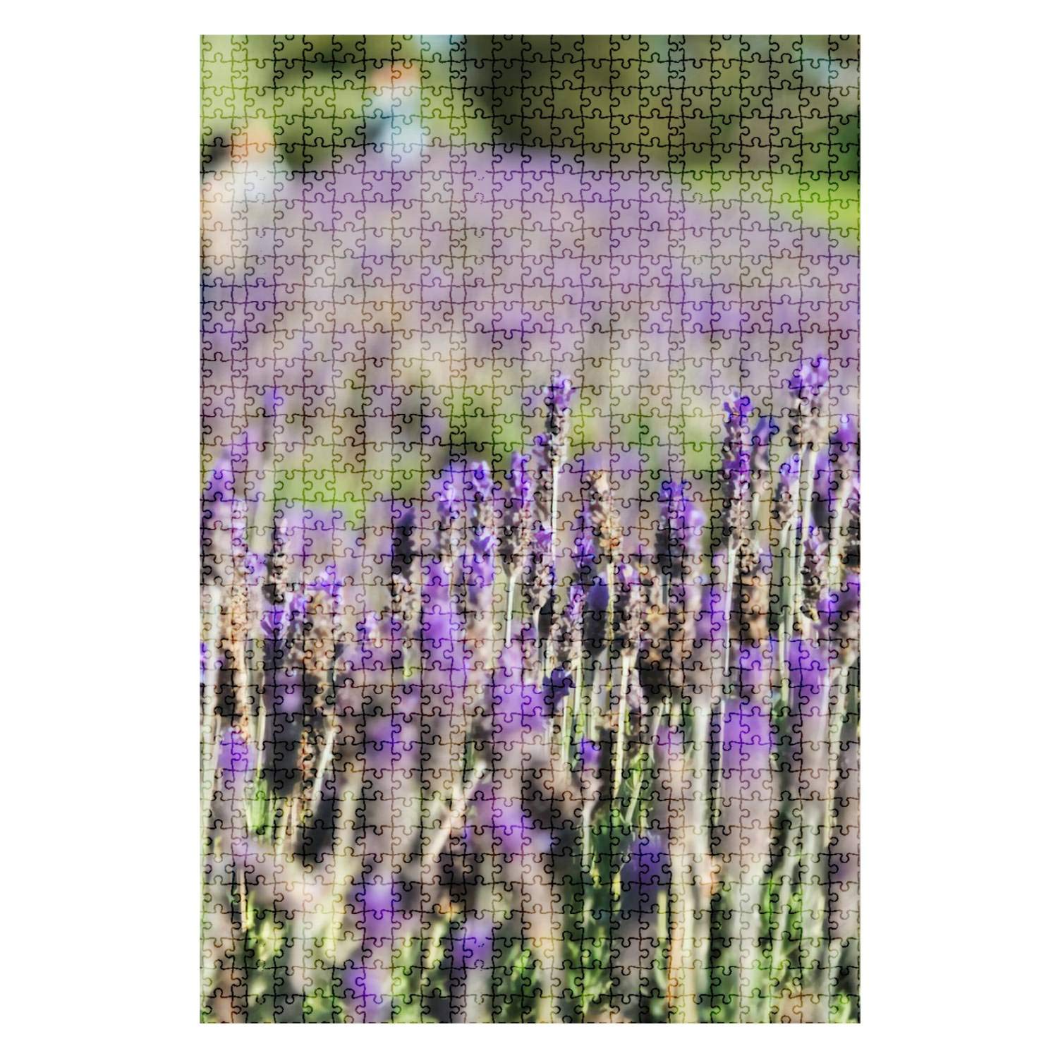 1000-Piece Wooden Jigsaw Puzzle - Lavender Flower Fields Landscape - Challenging Adult Puzzle for Home Decor & DIY Gift - Fun Educational Game for Kids & Adults - Perfect for Family Game Night & Stress Relief