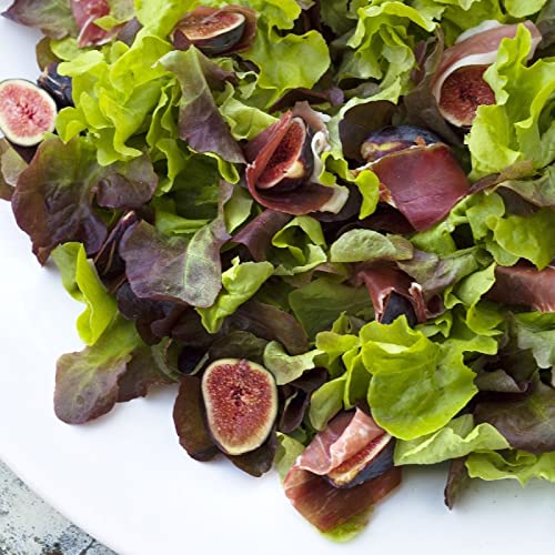 Eden Brothers Non-GMO Lettuce Seeds - Salad Bowl Green Variety, 5 lbs | Low-Maintenance Cool Season Planting for Zones 2-10 | Perfect for Home Gardens, Fresh Salads & Organic Vegetable Growing