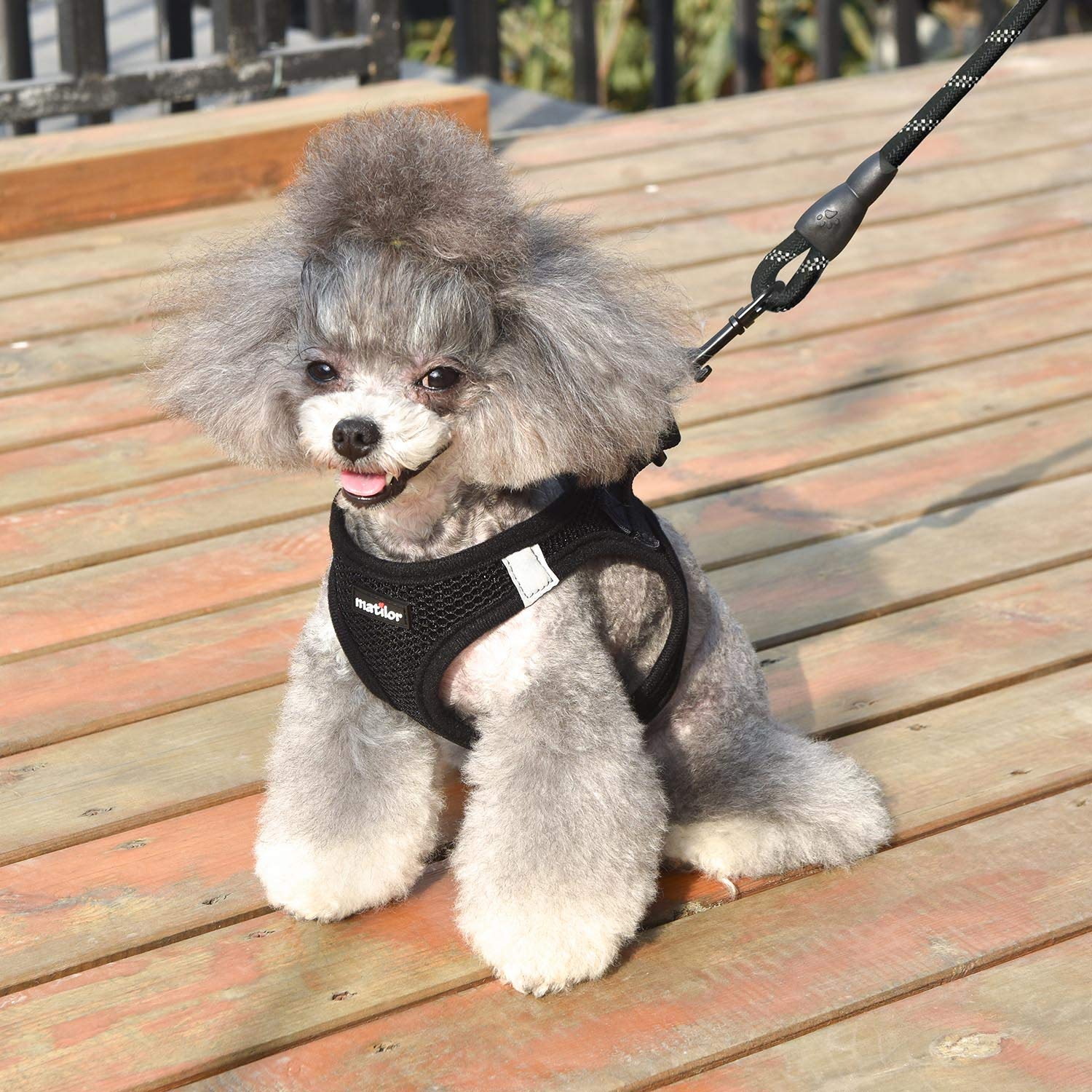 Step-in Breathable Dog Harness for Small & Medium Dogs - Lightweight Puppy Cat Vest Harness in Black | Perfect for Walking, Training & Outdoor Adventures