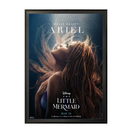 27 x 41 Movie Poster Frame - Classic Metal Swing Open Display with 5 Finish Options | Perfect for Home Theater, Cinema Decor & Collectible Artwork Display