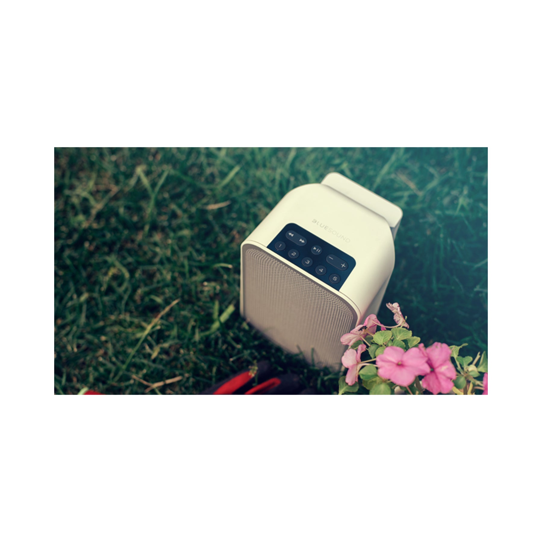 Bluesound PULSE FLEX 2i Portable Bluetooth Speaker - High-Quality Wireless Sound for Outdoor, Travel & Home Use