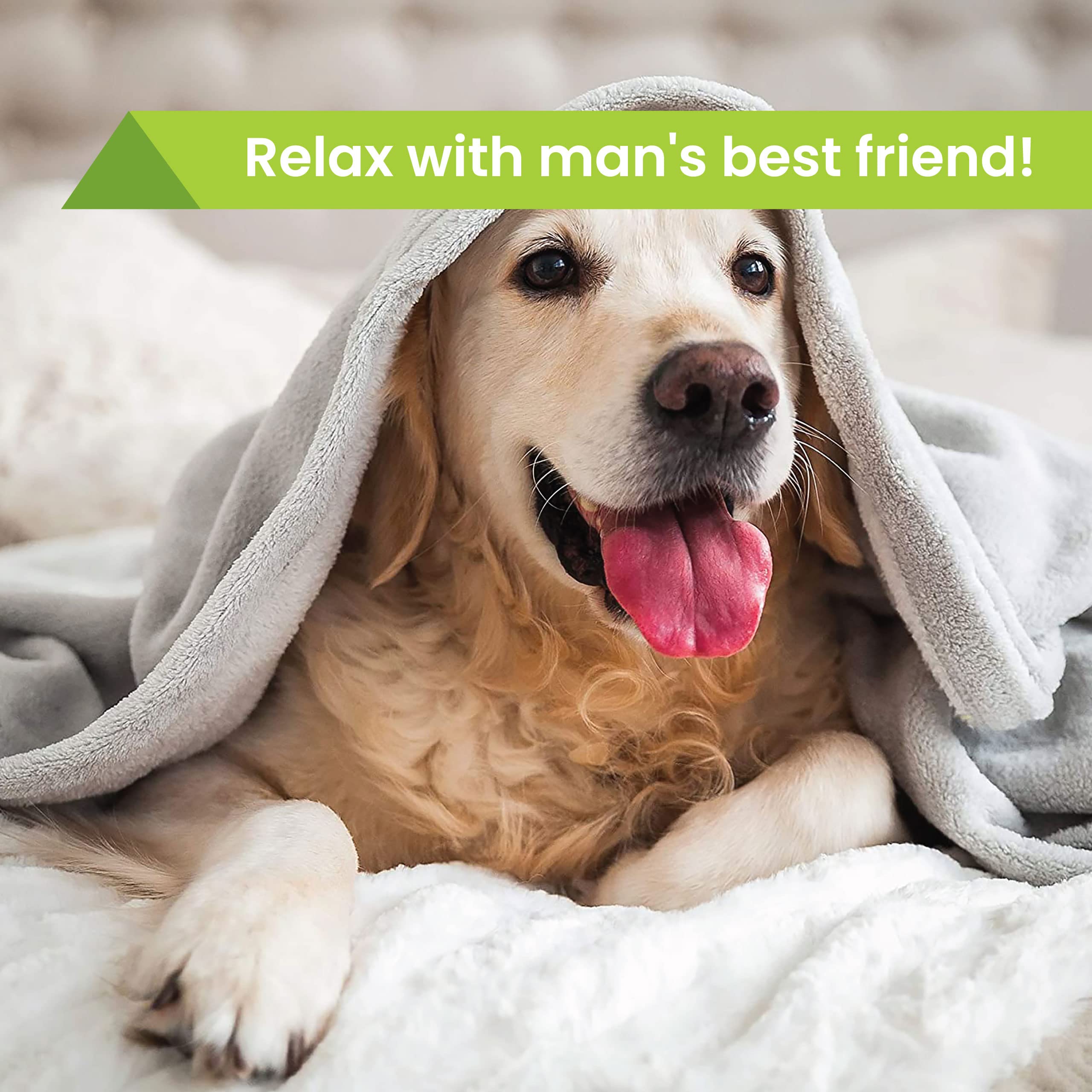 Dog Friendly Hotel Stay Gift Voucher - Pet-Friendly Getaway Experience at 70+ UK Locations | Perfect for Couples Retreats, Anniversary Gifts, Retirement Presents & Special Occasions