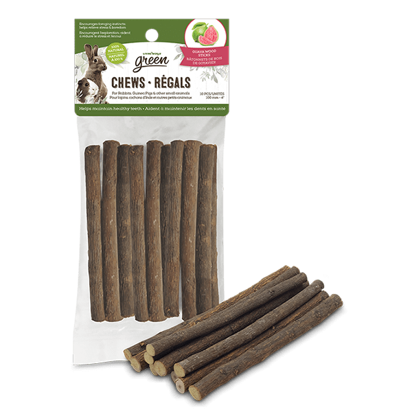 Living World Green Chews Natural Guava Wood Sticks for Small Pets - Chew Toys for Rabbits, Hamsters, Chinchillas & Birds - Promotes Dental Health & Natural Chewing Instincts - Perfect for Cage Enrichment & Playtime