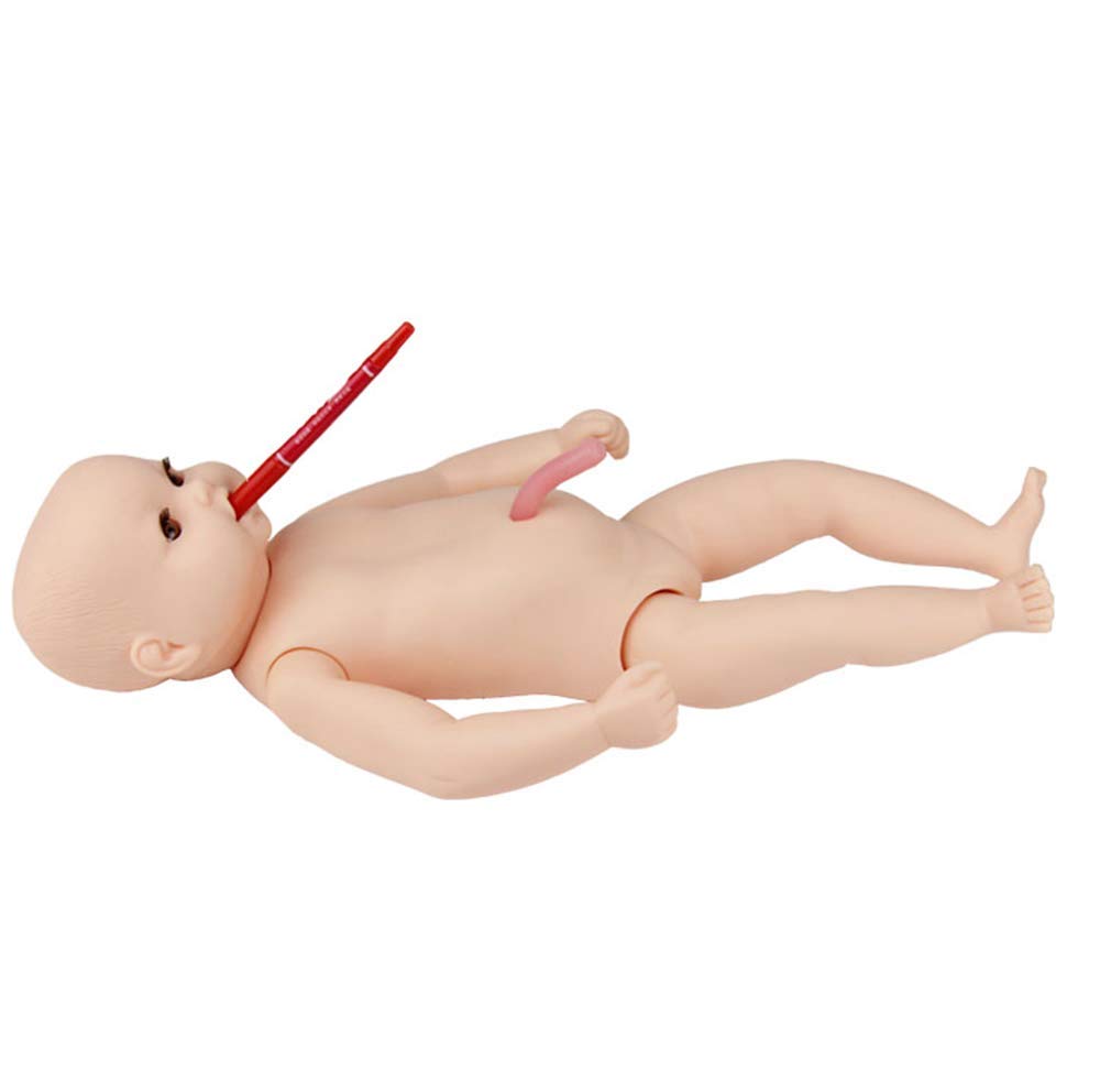 FMHCTN Newborn Baby Care Manikin - Realistic Full-Term Infant Model with Umbilical Cord for Nursing Education, Midwifery Training & Pediatric Practice - Perfect for Medical Students, Healthcare Professionals & Childcare Classes (Girl Version)
