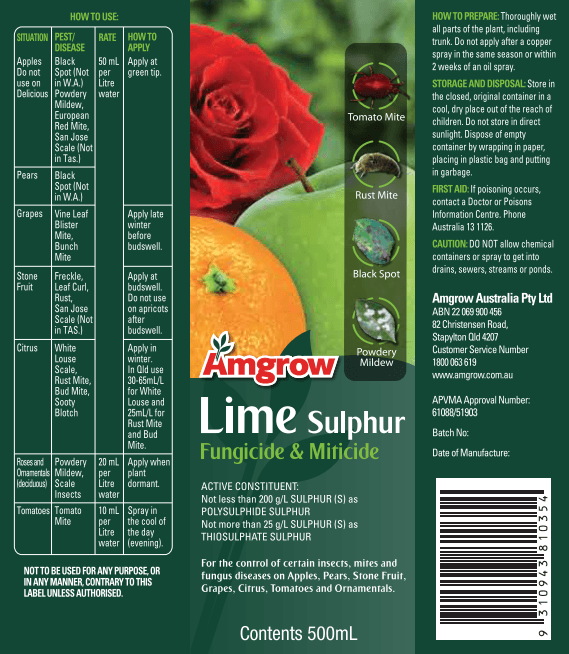 Amgrow Lime Sulphur Fungicide & Insecticide - 500ml Concentrate for Organic Gardening | Controls Diseases & Pests on Roses, Fruit Trees & Ornamental Plants