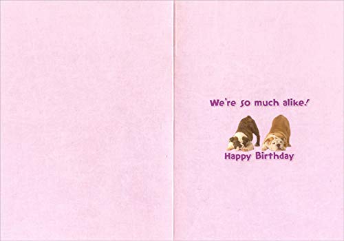 Funny Bulldog Birthday Card - Cute, Sweet & Smart Dog Greeting Card for Pet Lovers | Perfect for Dog Birthday Parties & Gift Exchanges