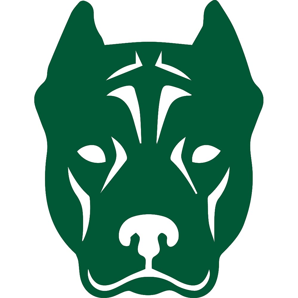 Premium Waterproof Vinyl Decal Stickers (Set of 2) - Pitbull Dog Face Design in Green for Laptop, Phone, Helmet, Car Window, Bumper, Mug, Cup, Door & Wall Decoration - Perfect for Pet Lovers and Custom DIY Projects