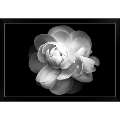 Black Frame