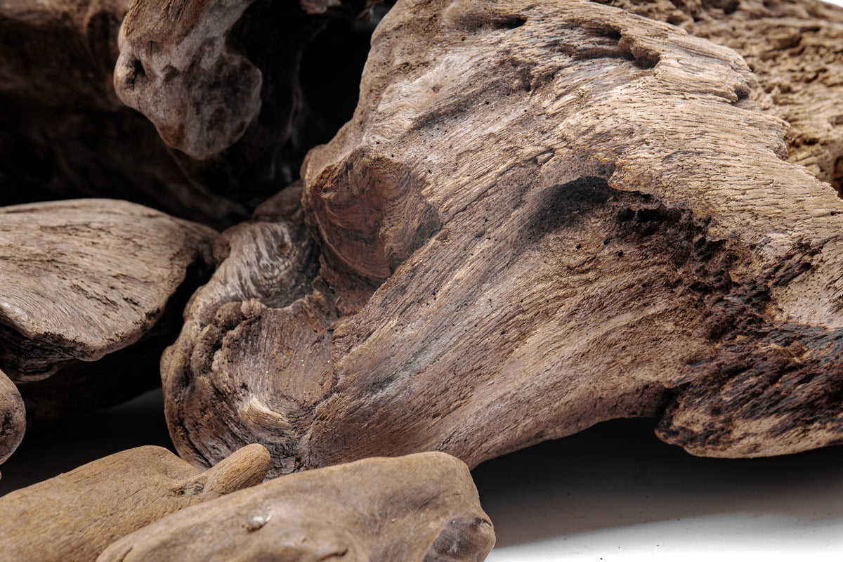 Natural Driftwood Decor for Home & Aquarium - Unique Wooden Accent Pieces for DIY, Crafts, and Terrarium Scenery