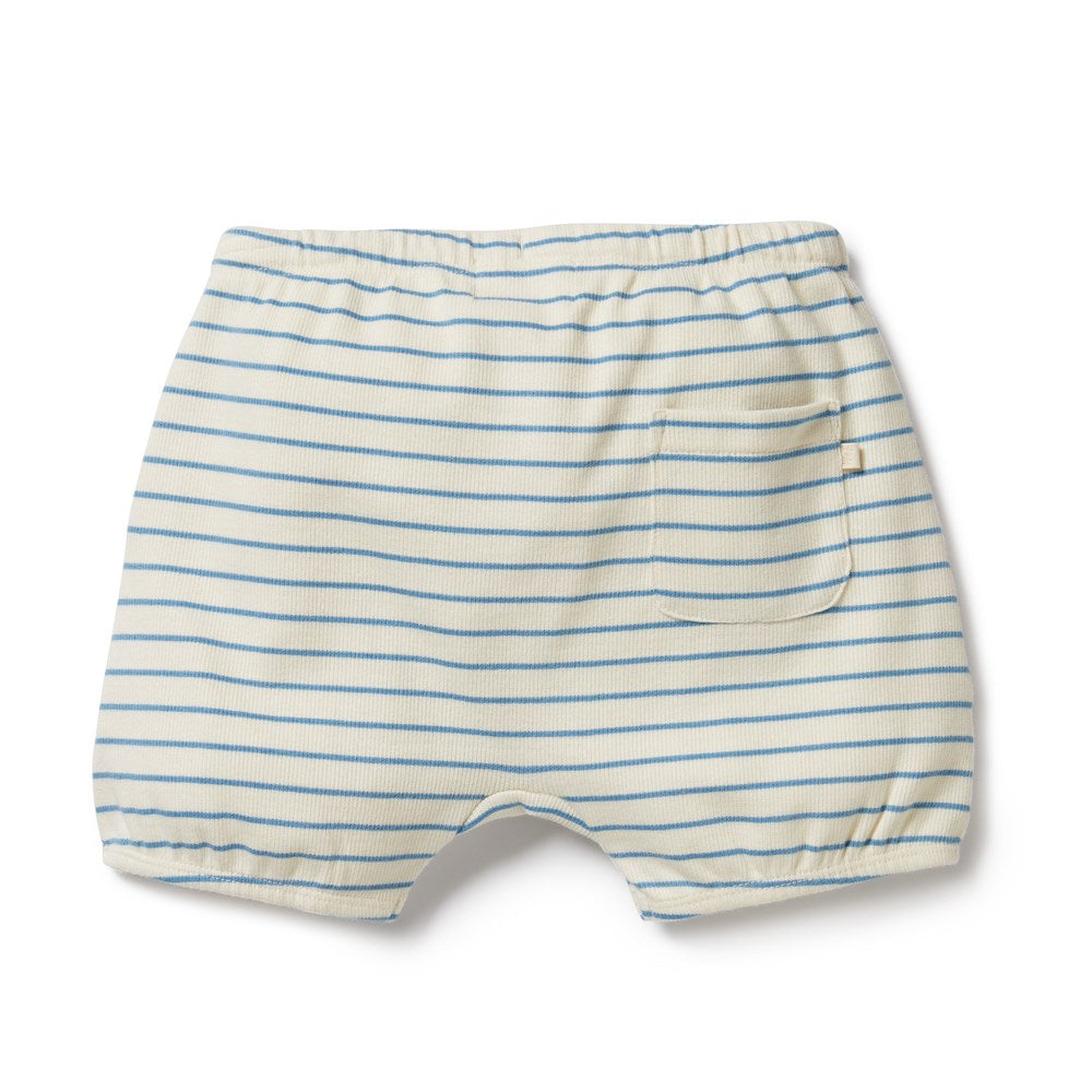 Organic Cotton Bloomer Shorts for Baby Girls - Soft & Breathable Underwear - Perfect for Playtime, Diaper Changes & Comfortable Sleep
