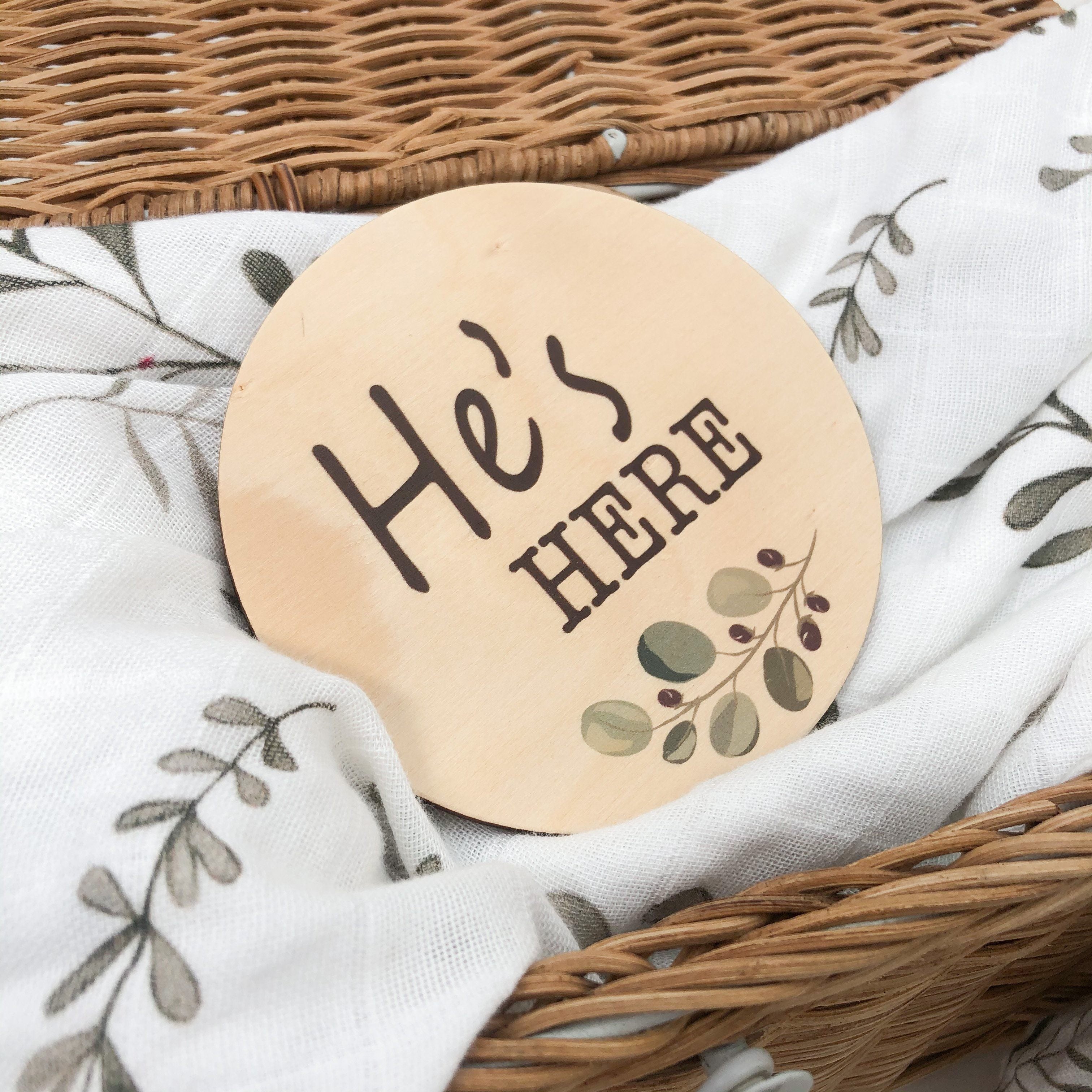 Personalized Baby Boy Milestone Plaques - Handcrafted Wooden Announcement Signs for Monthly Photo Shoots, Nursery Decor & First Birthday Party Decorations