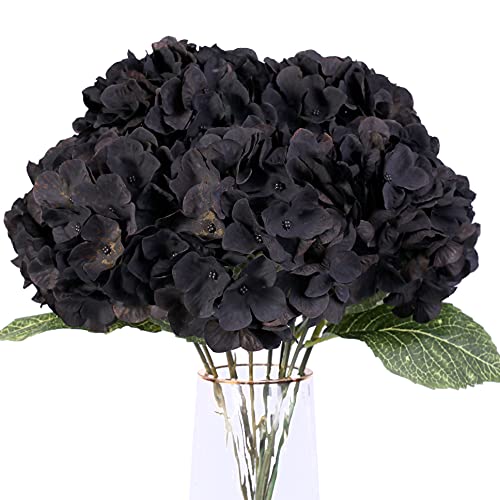 Black，5 Flower Heads