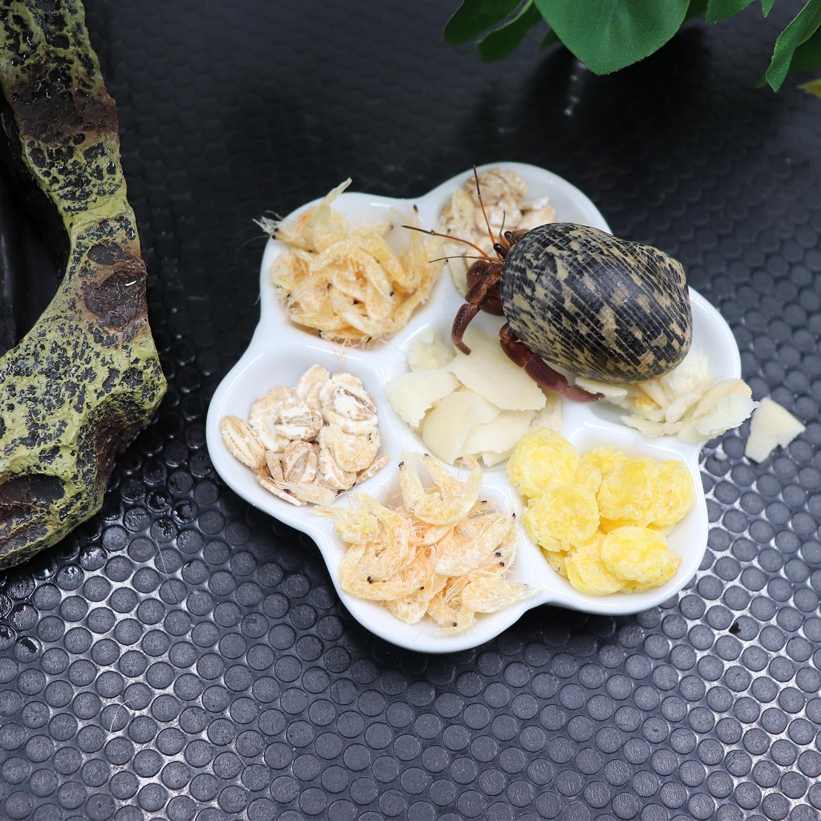 3 Pcs Hermit Crab Ceramic Food & Water Bowls - Mini Feeding Dish Kit for Hermit Crabs, Tarantulas, Snails - Durable Pet Reptile Supplies for Terrarium Habitat