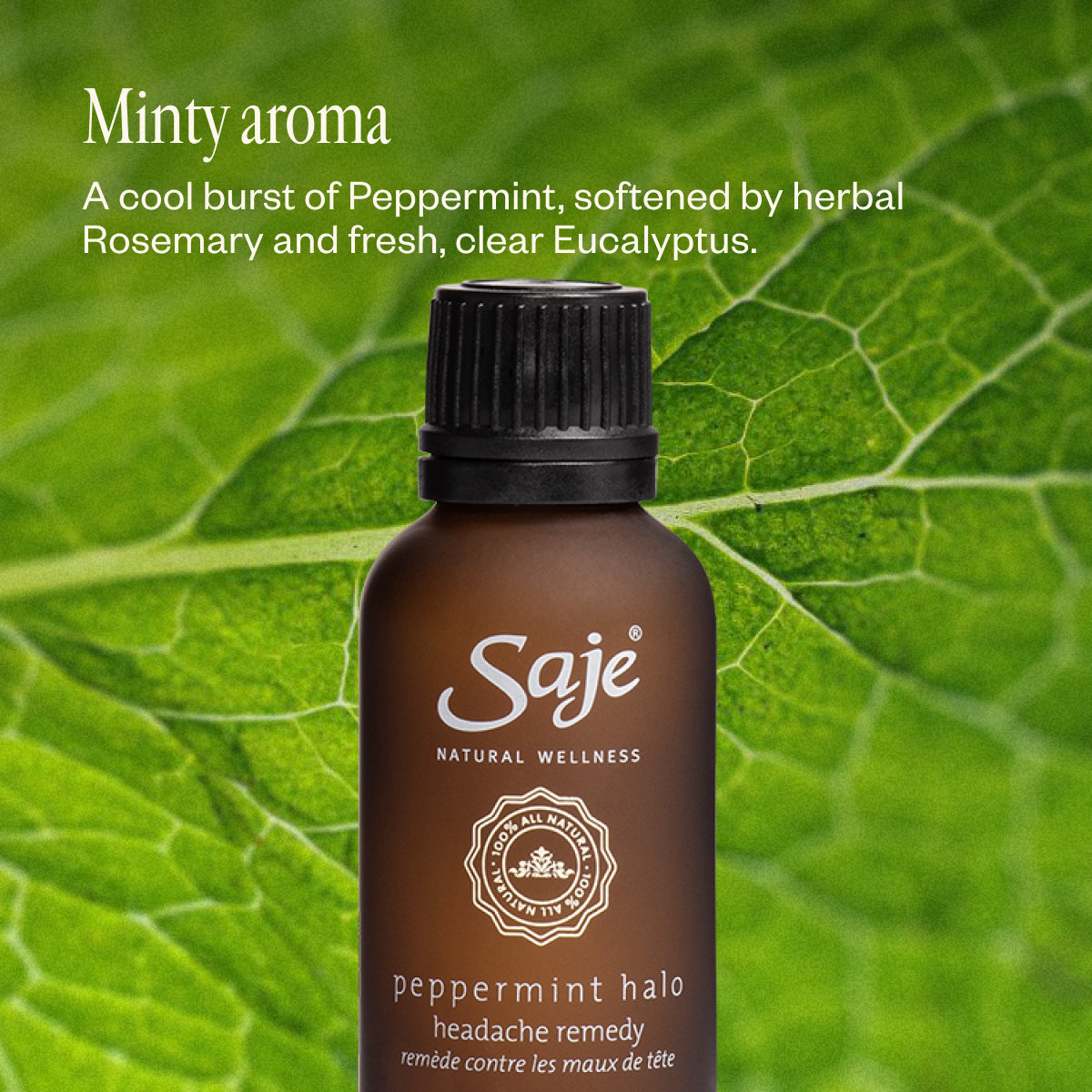 Peppermint Halo Headache Relief Roll-On Refill | Natural Migraine & Tension Relief | Perfect for Travel, Work & Stress Relief