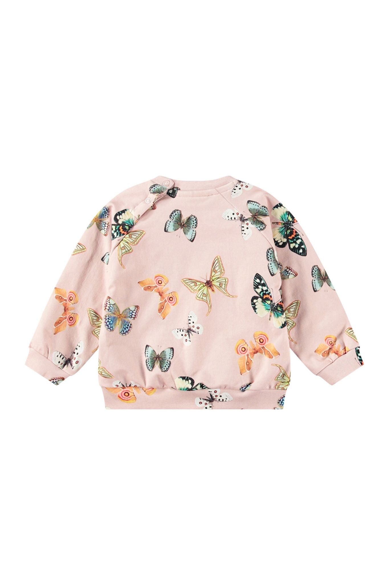 Disc Blush Papillions Sweatshirt for Toddler Girls | Cute Butterfly Print Pullover | Perfect for Playdates & Preschool