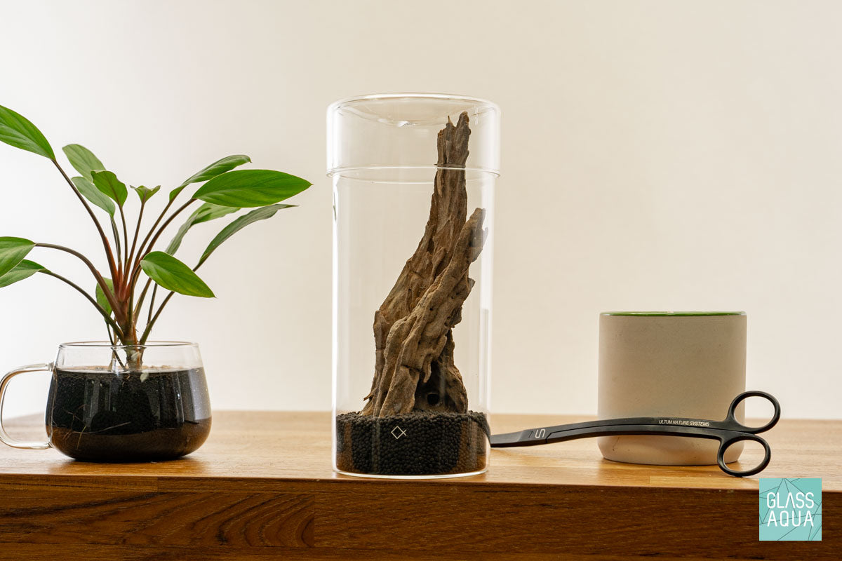 DIY Miniature Terrarium Kit for Home Decor - Complete Glass Garden Set with Plants & Accessories | Perfect for Office Desk, Living Room Centerpiece & Gift Ideas