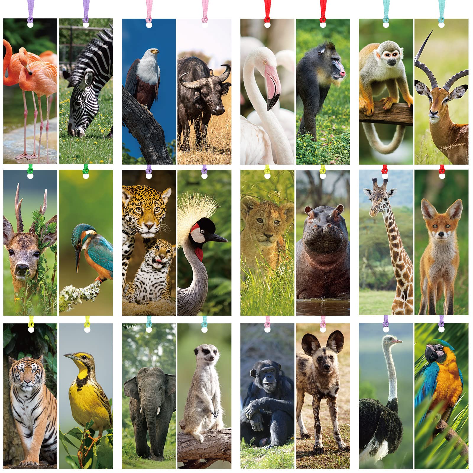Eaasty 120 Pcs Safari Animal Bookmarks for Kids - Colorful Ribbon Bookmarks Bulk Pack for Book Lovers, Students, Boys & Girls - Perfect for School, Reading Rewards & Classroom Incentives