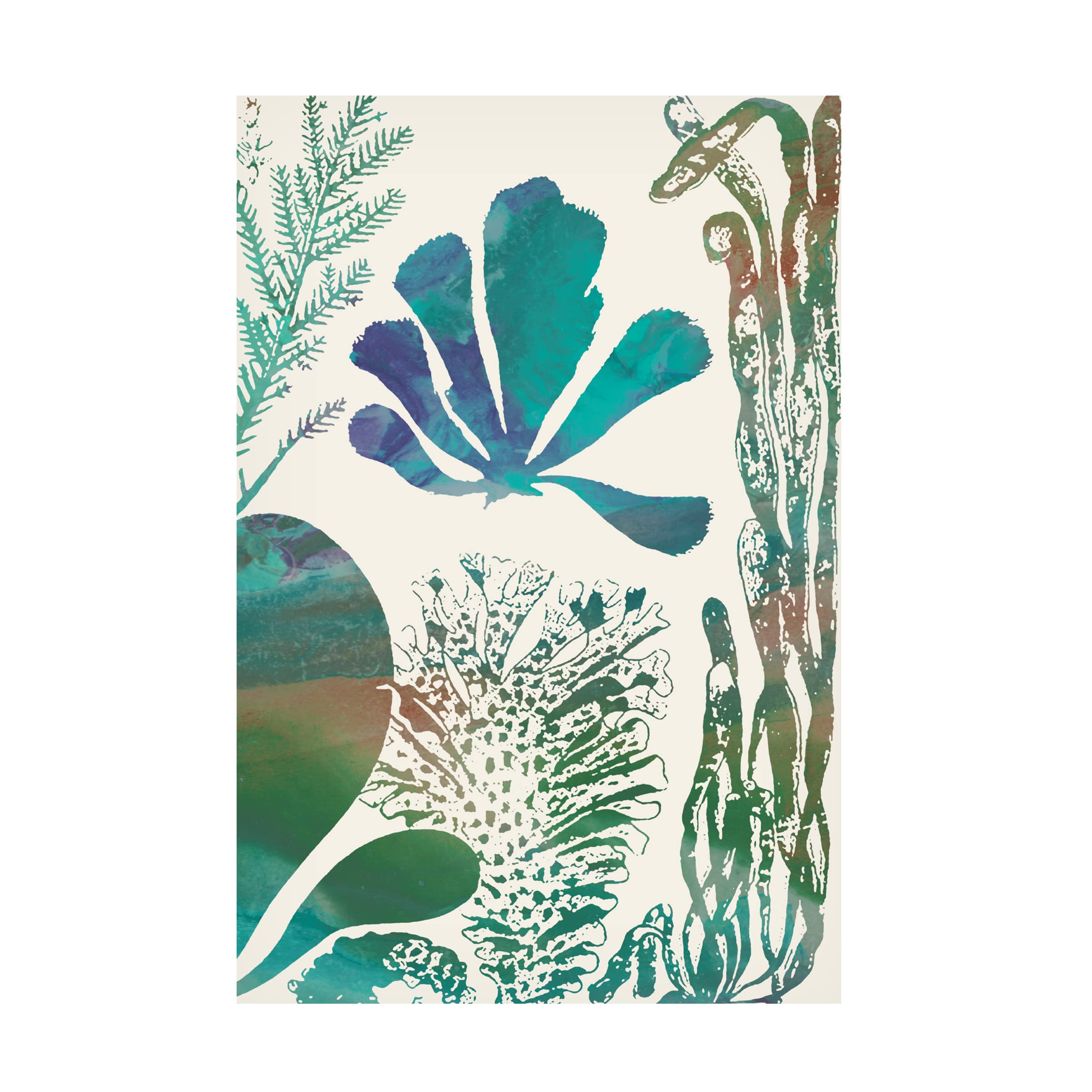 Trademark Fine Art 'Aquatic Assemblage I' Canvas Wall Art by Sharon Chandler - Perfect for Living Room, Bedroom & Office Decor