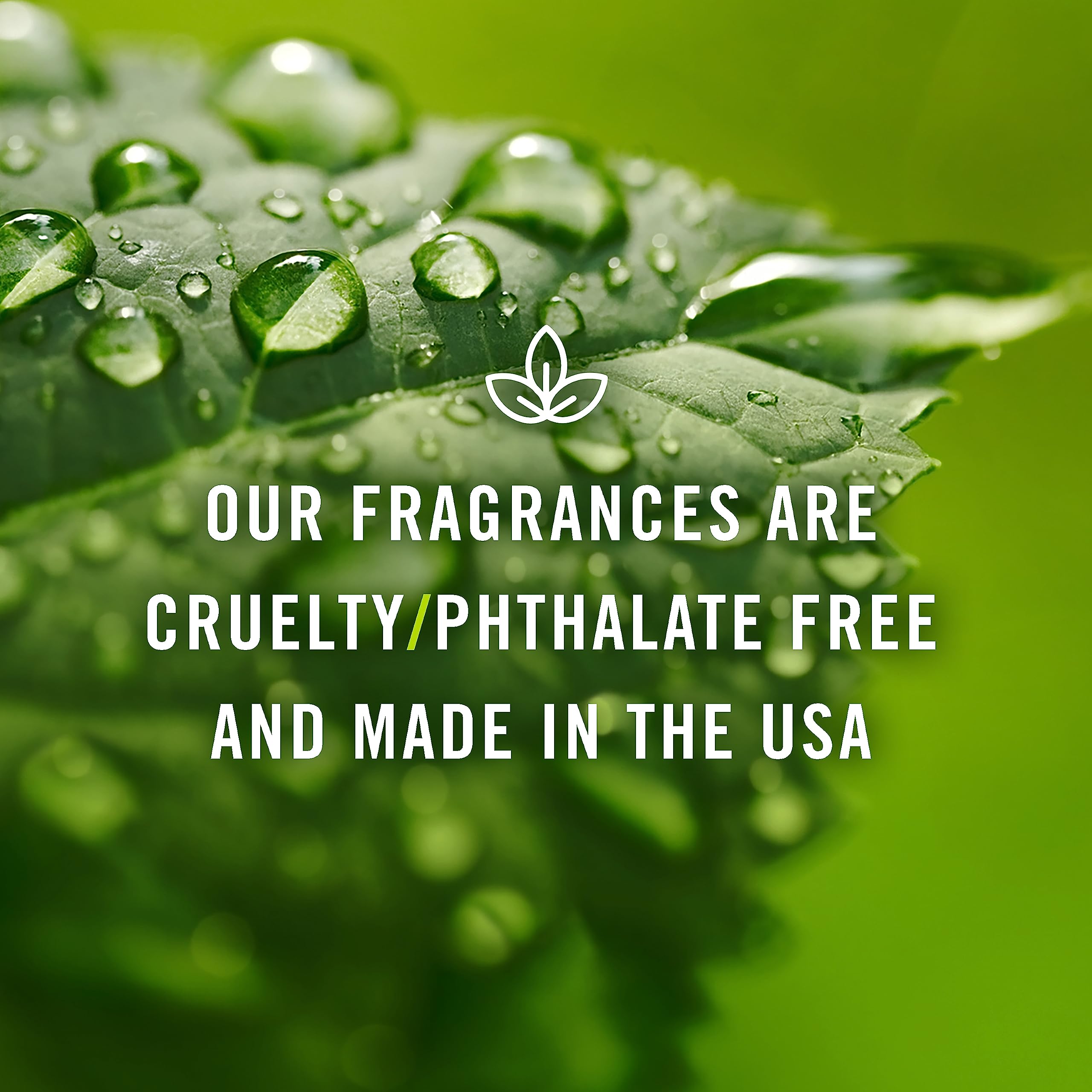 P&J Trading - 30ml Sweet Tobacco Fragrance Oil for Candle Making, Soap Making, Diffusers - Premium Scented Oil for Home, Spa & DIY Crafts - Relaxing Aroma for Candles, Soaps & Aromatherapy