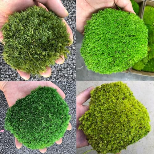 Color Mix-Green-(A+B+C+D)