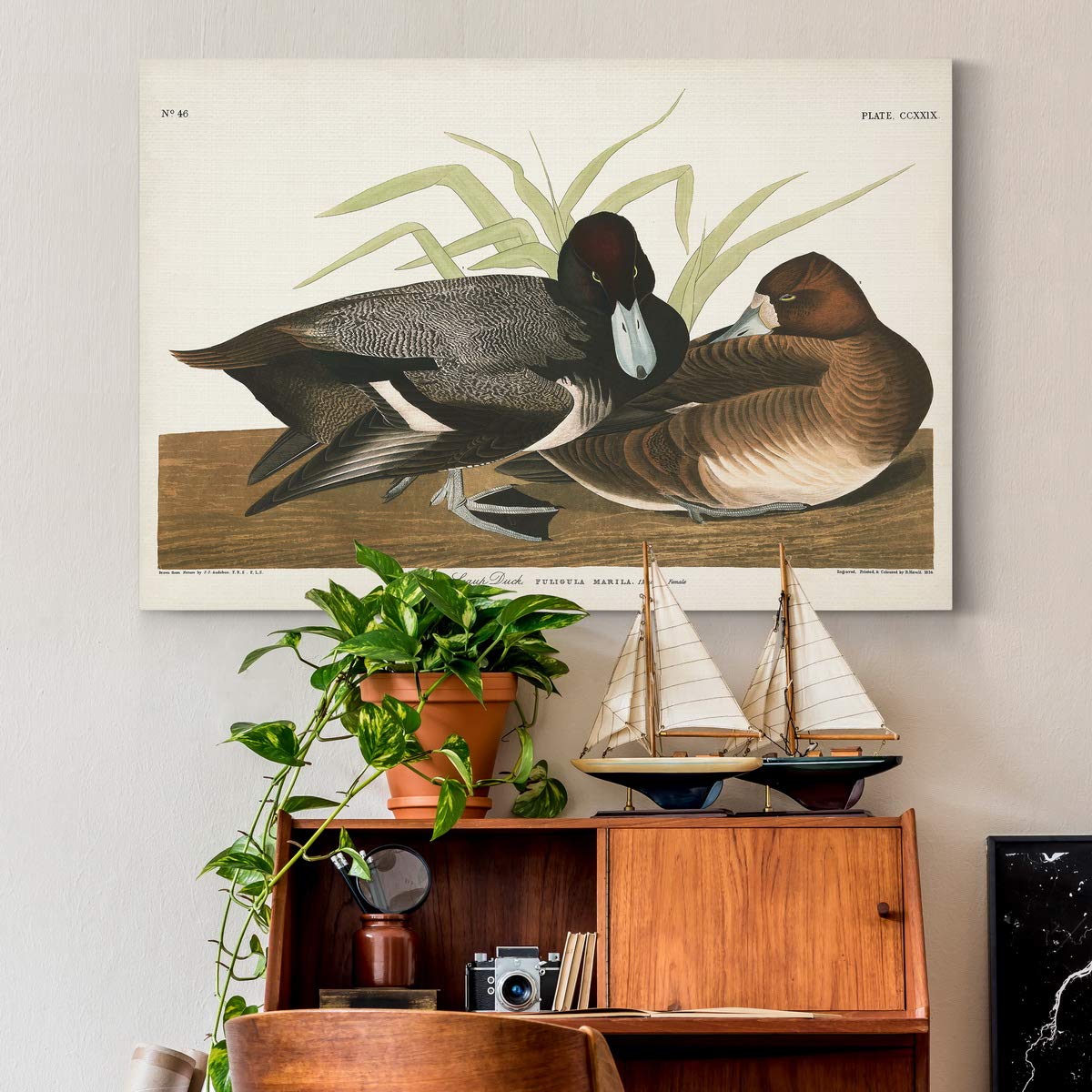 John James Audubon Scaup Duck Wall Art - Premium Gallery Wrapped Canvas Print, Bluebill Bird Decor, 32x48 Inches, Ready to Hang - Perfect for Living Room, Office or Nature-Themed Home Decor