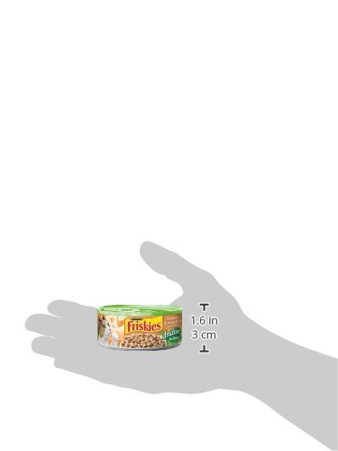 Purina Friskies Indoor Cat Food - Chunky Chicken & Turkey Casserole with Garden Greens in Gravy - 24 Pack (5.5 Oz Cans) - High Protein Wet Cat Food for Adult & Senior Cats - Perfect for Indoor Cats with Sensitive Stomachs