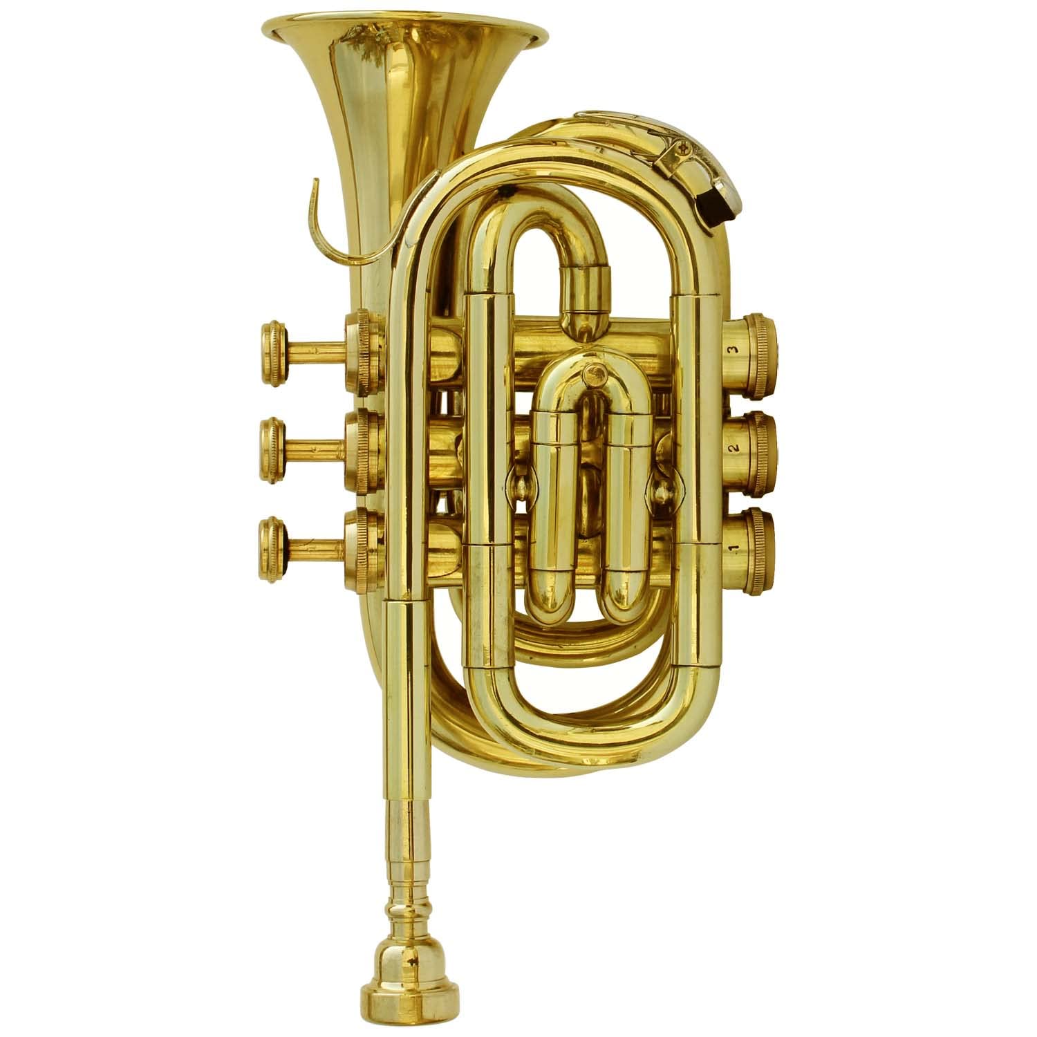Professional Bb Pocket Trumpet Brass Instrument with Free Hard Case & Mouthpiece - Perfect for Beginners, Travel & Practice | Best Musical Gift for Students & Jazz Enthusiasts