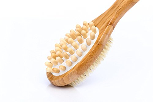 100% Natural Boar Bristle Dry Body Brush for Exfoliation & Skin Renewal - Long Handle Wooden Back Scrub Brush for Shower, Spa & Lymphatic Massage - Remove Dead Skin Cells & Improve Circulation